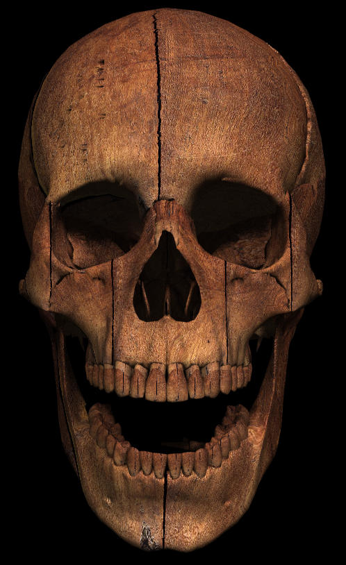 skull1.jpg (79496 bytes)